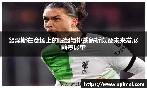 努涅斯在赛场上的崛起与挑战解析以及未来发展前景展望