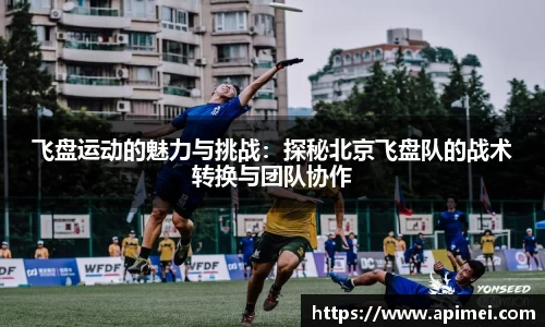 飞盘运动的魅力与挑战：探秘北京飞盘队的战术转换与团队协作